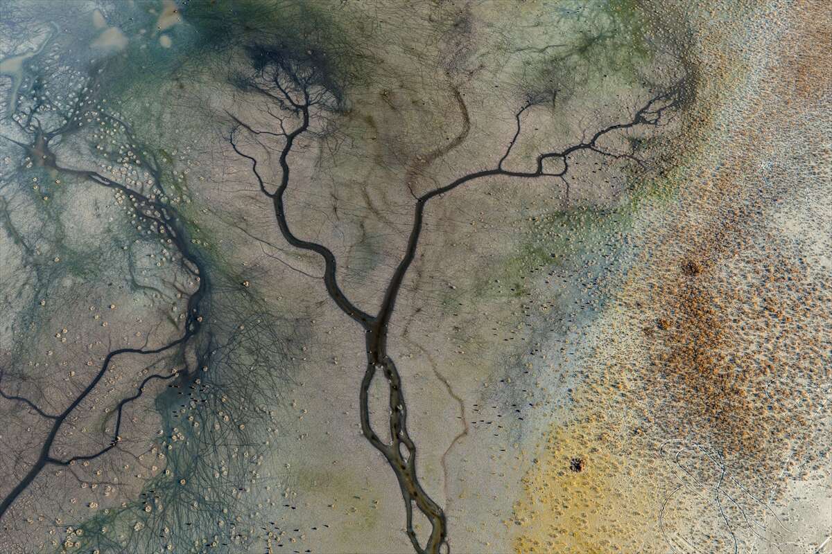 Konya’da doğa ziyafeti 9